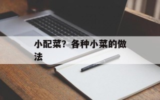 小配菜？各种小菜的做法
