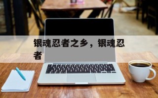 银魂忍者之乡，银魂忍者