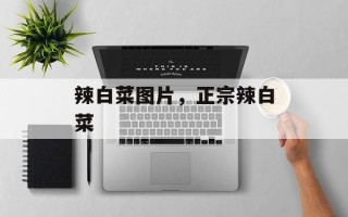 辣白菜图片，正宗辣白菜