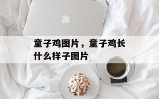 童子鸡图片，童子鸡长什么样子图片