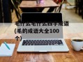 毛什么毛什么四字成语(毛的成语大全100个)