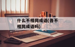 什么不相同成语(各不相同成语吗)