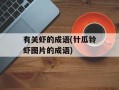 有关虾的成语(针瓜铃虾图片的成语)