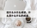 后什么小什么成语，什么高什么什么的成语
