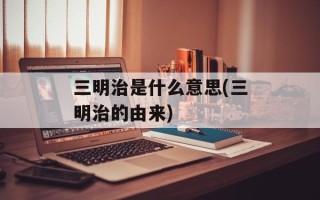 三明治是什么意思(三明治的由来)