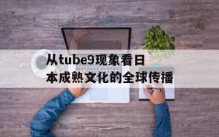 从tube9现象看日本成熟文化的全球传播