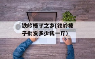 铁岭榛子之乡(铁岭榛子批发多少钱一斤)