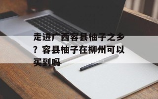 走进广西容县柚子之乡？容县柚子在柳州可以买到吗