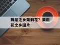 舞蹈之乡茉莉花？茉莉花之乡图片