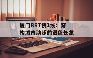 厦门BRT快1线：穿梭城市动脉的银色长龙
