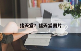 猪天堂？猪天堂图片