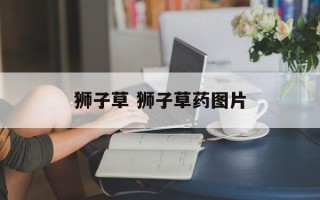 狮子草 狮子草药图片