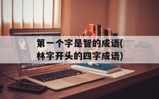 第一个字是智的成语(林字开头的四字成语)