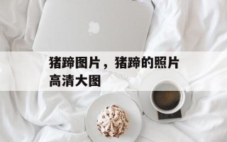 猪蹄图片，猪蹄的照片高清大图