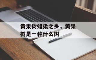 黄果树蜡染之乡，黄果树是一种什么树