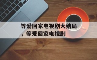 等爱回家电视剧大结局，等爱回家电视剧