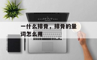 一什么排骨，排骨的量词怎么用