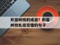 形容树枝的成语？形容树枝虬结交错的句子