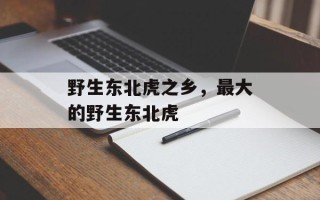 野生东北虎之乡，最大的野生东北虎
