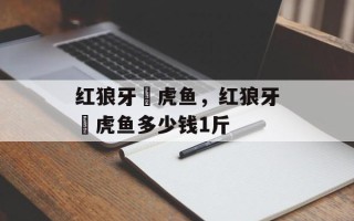 红狼牙鰕虎鱼，红狼牙鰕虎鱼多少钱1斤