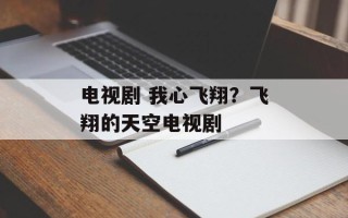 电视剧 我心飞翔？飞翔的天空电视剧