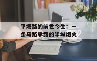 平塘路的前世今生：一条马路承载的半城烟火