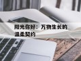 阳光你好：万物生长的温柔契约
