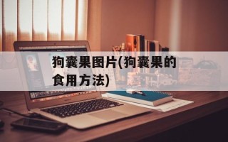 狗囊果图片(狗囊果的食用方法)
