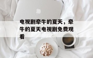 电视剧牵牛的夏天，牵牛的夏天电视剧免费观看