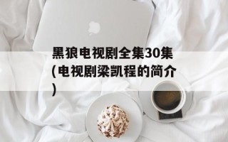 黑狼电视剧全集30集(电视剧梁凯程的简介)