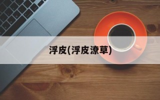 浮皮(浮皮潦草)