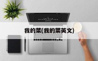 我的菜(我的菜英文)