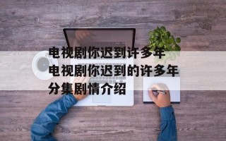 电视剧你迟到许多年 电视剧你迟到的许多年分集剧情介绍