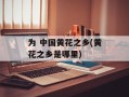 为 中国黄花之乡(黄花之乡是哪里)