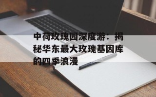 中荷玫瑰园深度游：揭秘华东最大玫瑰基因库的四季浪漫