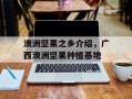 澳洲坚果之乡介绍，广西澳洲坚果种植基地