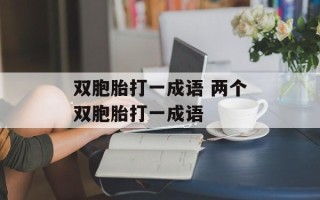 双胞胎打一成语 两个双胞胎打一成语