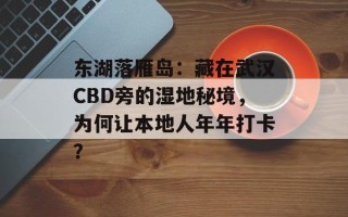 东湖落雁岛：藏在武汉CBD旁的湿地秘境，为何让本地人年年打卡？