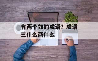 有两个如的成语？成语三什么两什么