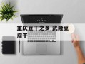 重庆豆干之乡 武隆豆腐干