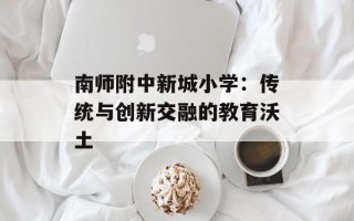 南师附中新城小学：传统与创新交融的教育沃土