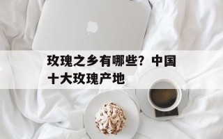 玫瑰之乡有哪些？中国十大玫瑰产地