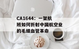 CA1644：一架航班如何折射中国航空业的毛细血管革命