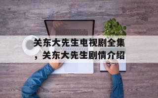 关东大先生电视剧全集，关东大先生剧情介绍