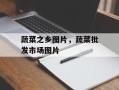 蔬菜之乡图片，蔬菜批发市场图片