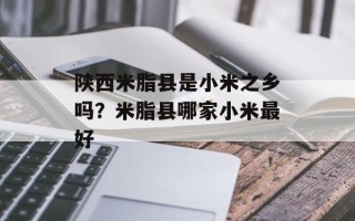 陕西米脂县是小米之乡吗？米脂县哪家小米最好