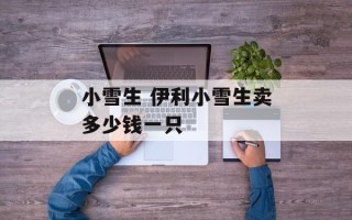 小雪生 伊利小雪生卖多少钱一只