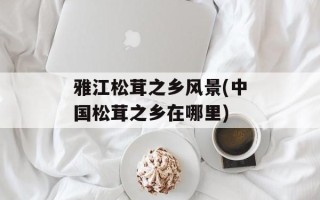 雅江松茸之乡风景(中国松茸之乡在哪里)