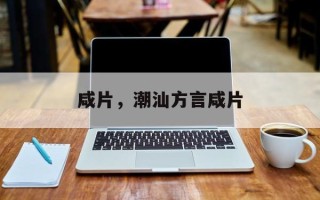 咸片，潮汕方言咸片
