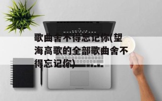 歌曲舍不得忘记你(望海高歌的全部歌曲舍不得忘记你)